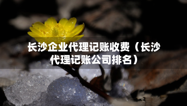 長(zhǎng)沙企業(yè)代理記賬收費(fèi)（長(zhǎng)沙代理記賬公司排名）