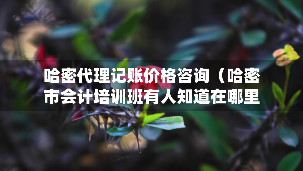 哈密代理記賬價(jià)格咨詢（哈密市會(huì)計(jì)培訓(xùn)班有人知道在哪里）