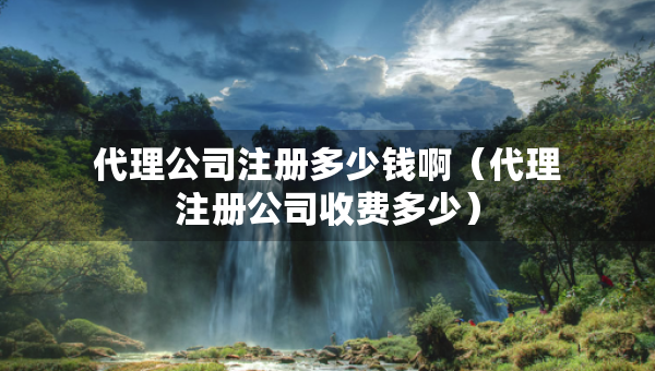 代理公司注冊多少錢?。ù碜怨臼召M多少）