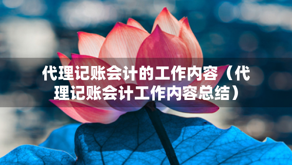 代理記賬會(huì)計(jì)的工作內(nèi)容（代理記賬會(huì)計(jì)工作內(nèi)容總結(jié)）