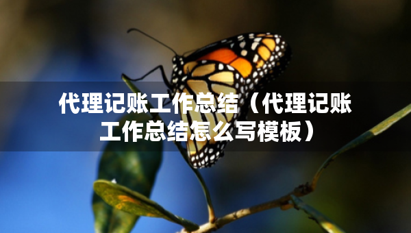 代理記賬工作總結(jié)（代理記賬工作總結(jié)怎么寫模板）