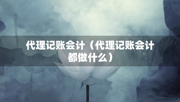 代理記賬會(huì)計(jì)（代理記賬會(huì)計(jì)都做什么）