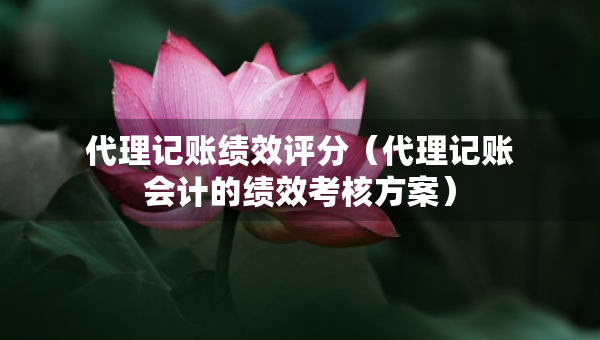 代理記賬績效評分（代理記賬會計(jì)的績效考核方案）