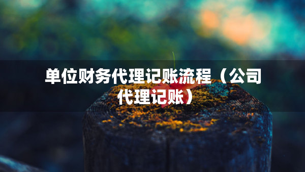 單位財務(wù)代理記賬流程（公司 代理記賬）