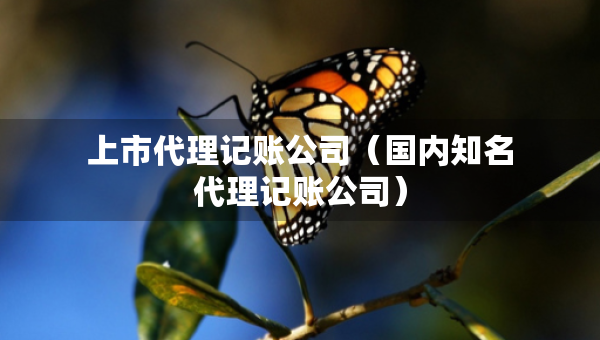 上市代理記賬公司（國內(nèi)知名代理記賬公司）