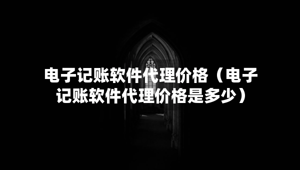 電子記賬軟件代理價格（電子記賬軟件代理價格是多少）