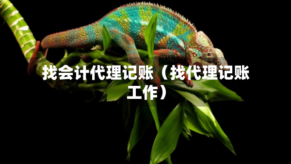 找會(huì)計(jì)代理記賬（找代理記賬工作）