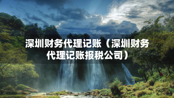 深圳財(cái)務(wù)代理記賬（深圳財(cái)務(wù)代理記賬報(bào)稅公司）