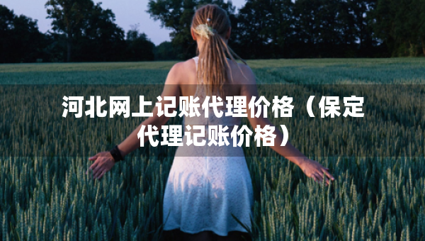 河北網上記賬代理價格（保定代理記賬價格）