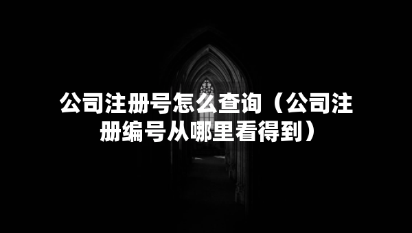 公司注冊號怎么查詢（公司注冊編號從哪里看得到）