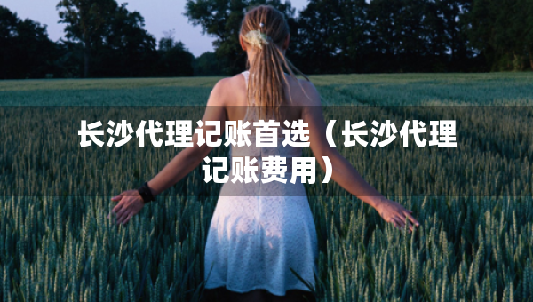 長(zhǎng)沙代理記賬首選（長(zhǎng)沙代理記賬費(fèi)用）