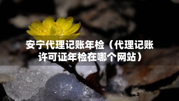 安寧代理記賬年檢（代理記賬許可證年檢在哪個(gè)網(wǎng)站）