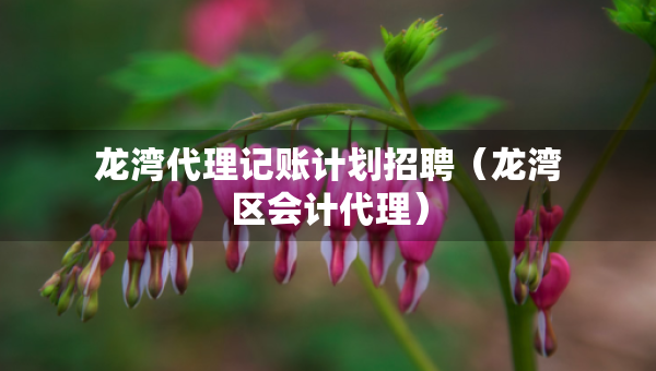 龍灣代理記賬計劃招聘（龍灣區(qū)會計代理）