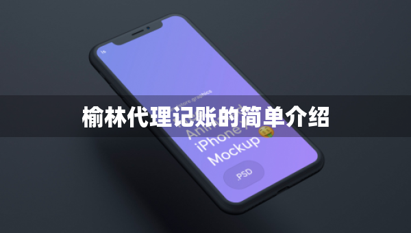 榆林代理記賬的簡(jiǎn)單介紹