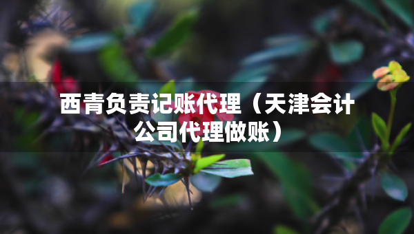 西青負責記賬代理（天津會計公司代理做賬）