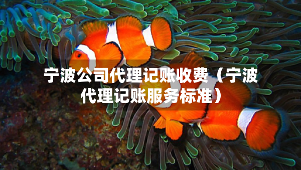 寧波公司代理記賬收費(fèi)（寧波代理記賬服務(wù)標(biāo)準(zhǔn)）