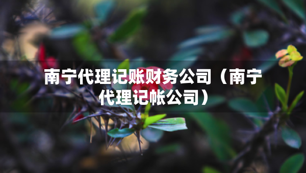 南寧代理記賬財(cái)務(wù)公司（南寧代理記帳公司）