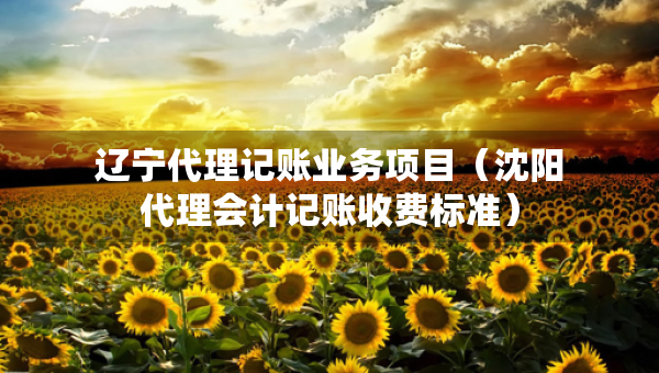 遼寧代理記賬業(yè)務(wù)項(xiàng)目（沈陽代理會計(jì)記賬收費(fèi)標(biāo)準(zhǔn)）