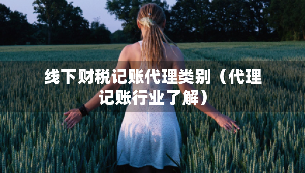 線下財(cái)稅記賬代理類別（代理記賬行業(yè)了解）