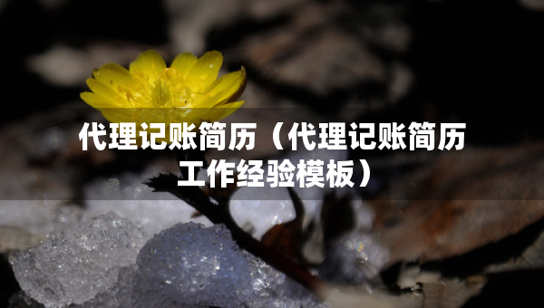 代理記賬簡歷（代理記賬簡歷工作經(jīng)驗?zāi)０澹? title=