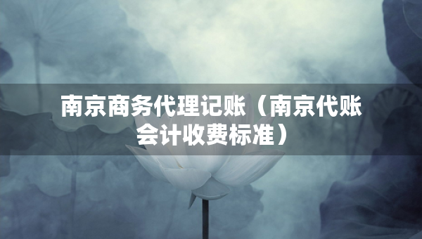 南京商務代理記賬（南京代賬會計收費標準）