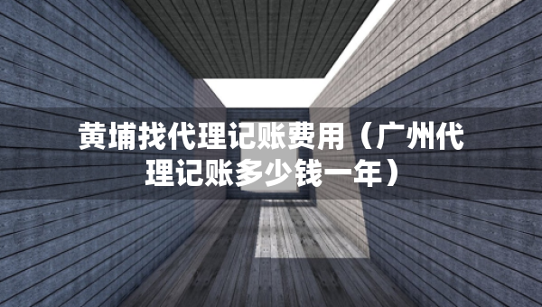 黃埔找代理記賬費(fèi)用（廣州代理記賬多少錢一年）