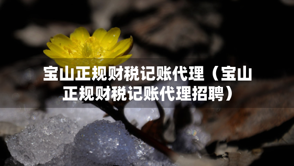 寶山正規(guī)財稅記賬代理（寶山正規(guī)財稅記賬代理招聘）