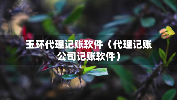 玉環(huán)代理記賬軟件（代理記賬公司記賬軟件）