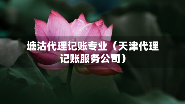 塘沽代理記賬專業(yè)（天津代理記賬服務(wù)公司）