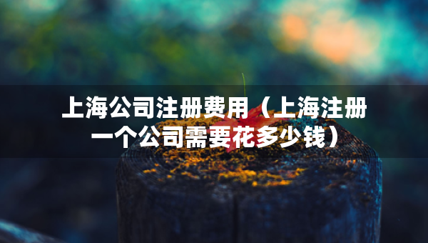 上海公司注冊(cè)費(fèi)用（上海注冊(cè)一個(gè)公司需要花多少錢(qián)）