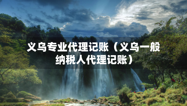 義烏專業(yè)代理記賬（義烏一般納稅人代理記賬）