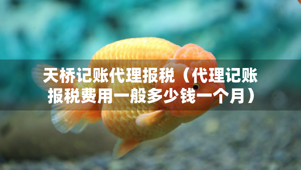 天橋記賬代理報稅（代理記賬報稅費用一般多少錢一個月）