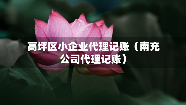 高坪區(qū)小企業(yè)代理記賬（南充公司代理記賬）