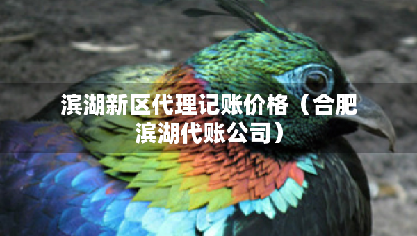 濱湖新區(qū)代理記賬價格（合肥濱湖代賬公司）