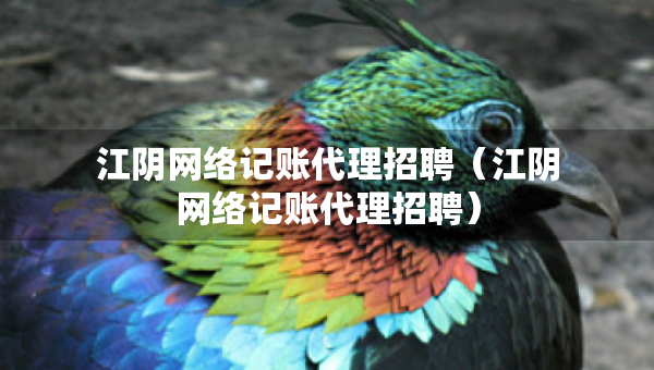 江陰網(wǎng)絡(luò)記賬代理招聘（江陰網(wǎng)絡(luò)記賬代理招聘）