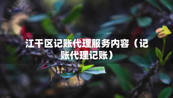 江干區(qū)記賬代理服務內容（記賬代理記賬）