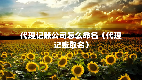 代理記賬公司怎么命名（代理記賬取名）