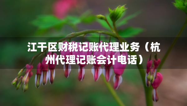 江干區(qū)財稅記賬代理業(yè)務(wù)（杭州代理記賬會計電話）