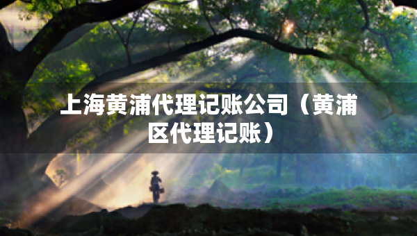 上海黃浦代理記賬公司（黃浦區(qū)代理記賬）