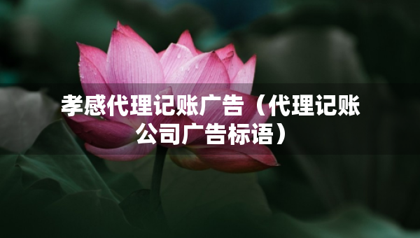 孝感代理記賬廣告（代理記賬公司廣告標(biāo)語(yǔ)）