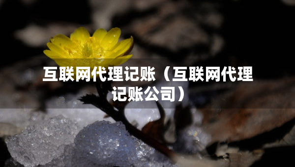 互聯(lián)網(wǎng)代理記賬（互聯(lián)網(wǎng)代理記賬公司）