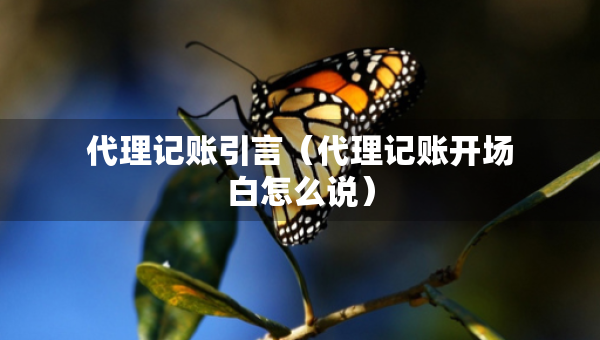 代理記賬引言（代理記賬開場白怎么說）