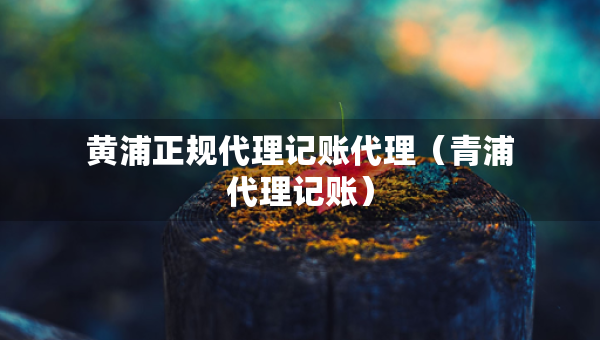 黃浦正規(guī)代理記賬代理（青浦代理記賬）