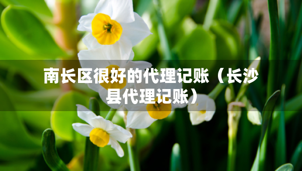 南長(zhǎng)區(qū)很好的代理記賬（長(zhǎng)沙縣代理記賬）