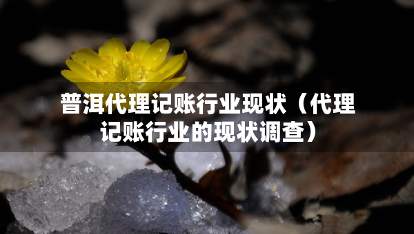 普洱代理記賬行業(yè)現(xiàn)狀（代理記賬行業(yè)的現(xiàn)狀調(diào)查）