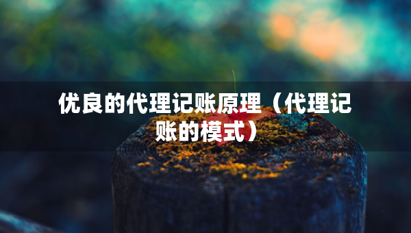 優(yōu)良的代理記賬原理（代理記賬的模式）