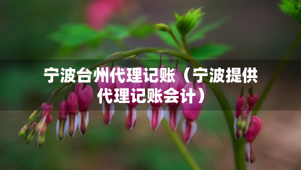 寧波臺(tái)州代理記賬（寧波提供代理記賬會(huì)計(jì)）