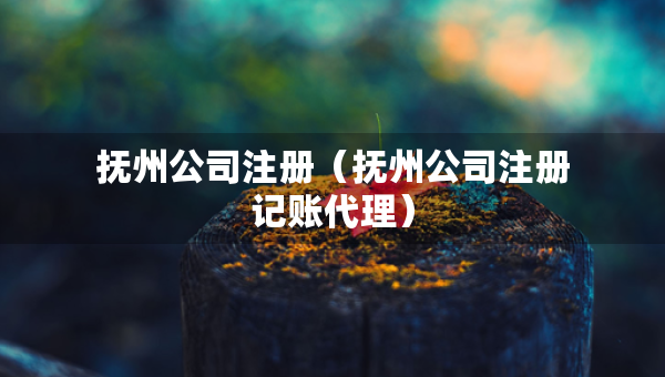 撫州公司注冊(cè)（撫州公司注冊(cè)記賬代理）