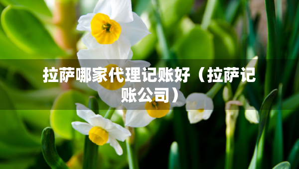 拉薩哪家代理記賬好（拉薩記賬公司）