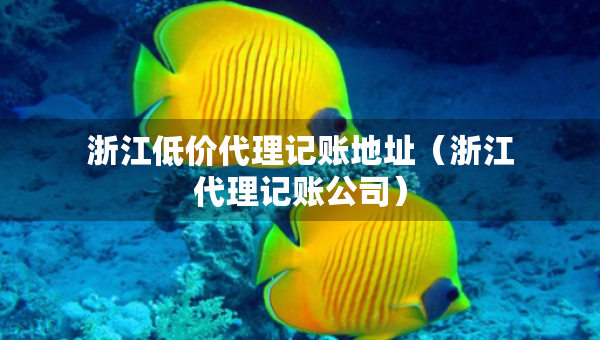 浙江低價代理記賬地址（浙江代理記賬公司）